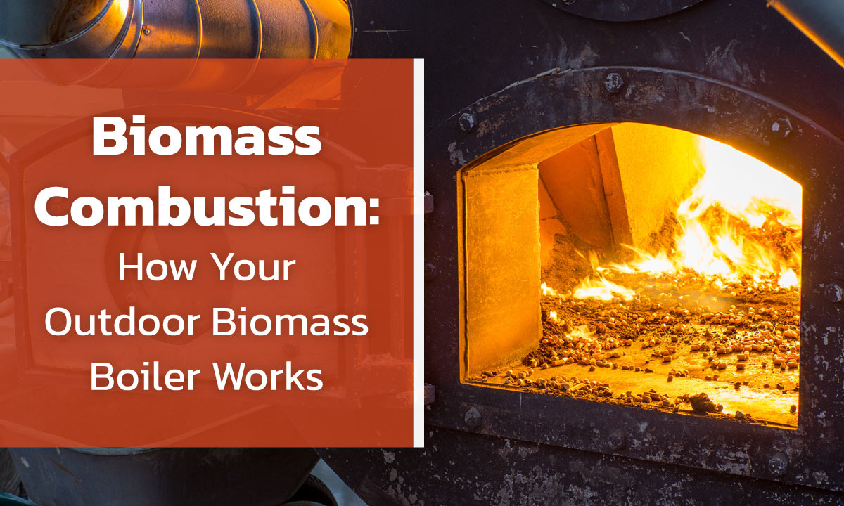 Biomass Version 1