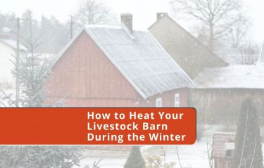 How to heat your livestock barn during the winter