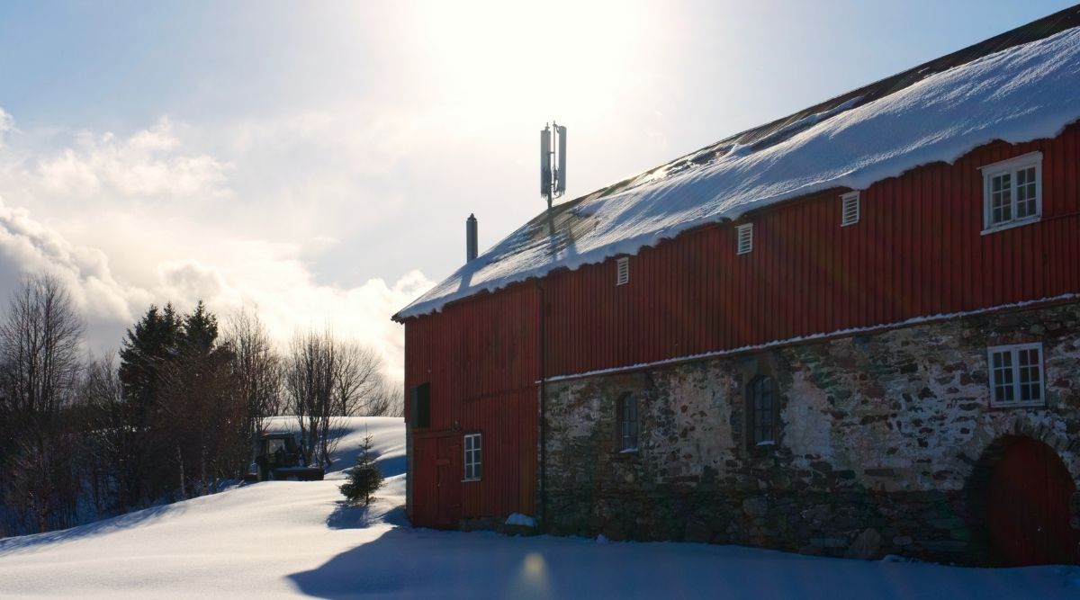 heating large livestock barn
