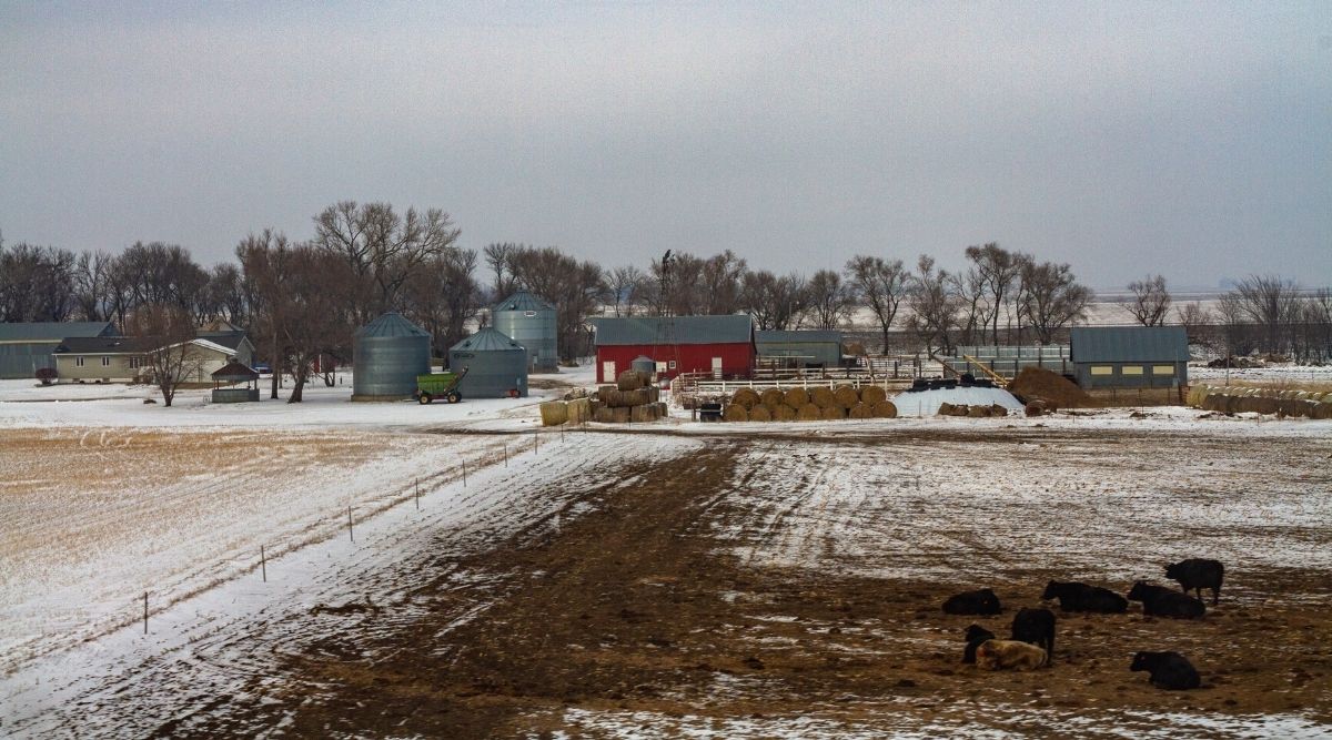 winter heat furnace for livestock